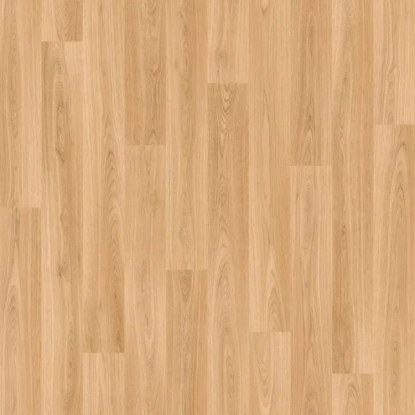 American Oak 3385