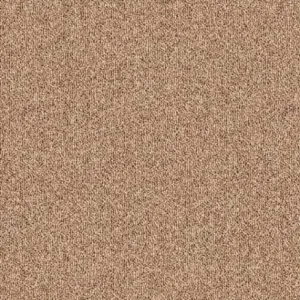 Blue Bird 640 - Camel