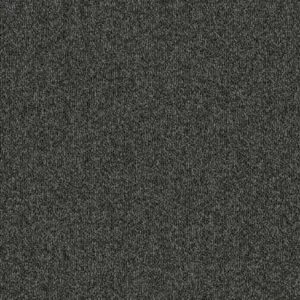 Blue Bird 678 - Charcoal