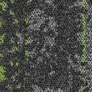 Green Transition 576